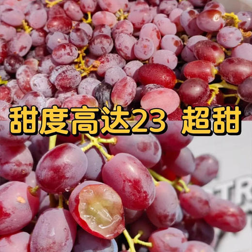 澳大利亚无籽红提 | 进口水果 商品图2