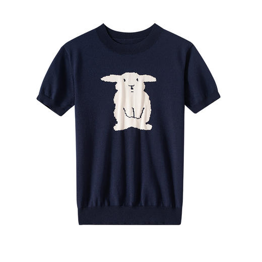 洋气减龄，显瘦短款小个子百搭漂亮小衫冰丝针织上衣CC-AB86055 商品图4