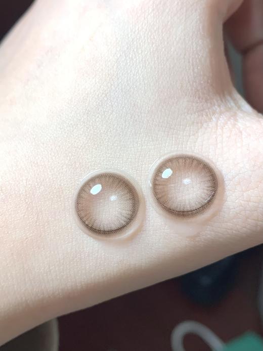 Gugucon品牌日抛-可可糖 商品图3