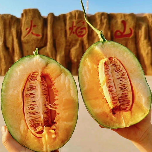 疆小密新疆哈密瓜
带着日夜兼程的风沙，带着吐鲁番的热情，皮薄肉厚、清脆爽口、甜脆多汁、可口香脆、蜜甜怡人，糖16+，甜！！净重7左右，2颗！阴凉通风处储存！ 商品图0