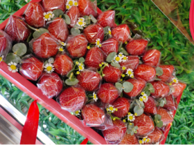 蝴蝶结草莓礼盒