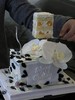 黑白裱花蝴蝶兰蛋糕（仿真花） 商品缩略图4