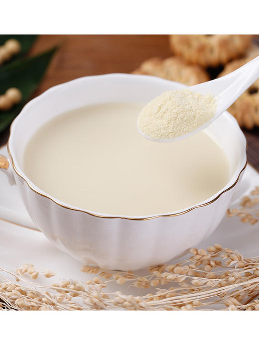 永和红枣味豆浆粉300g 商品图1