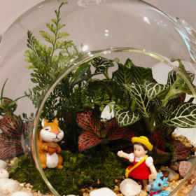 阅舍活动·微景观DIY