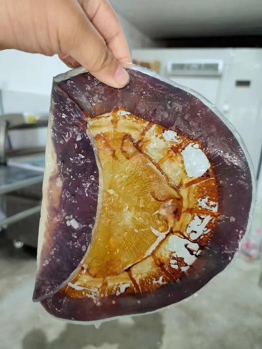 特级海蜇皮2.4千克 商品图1