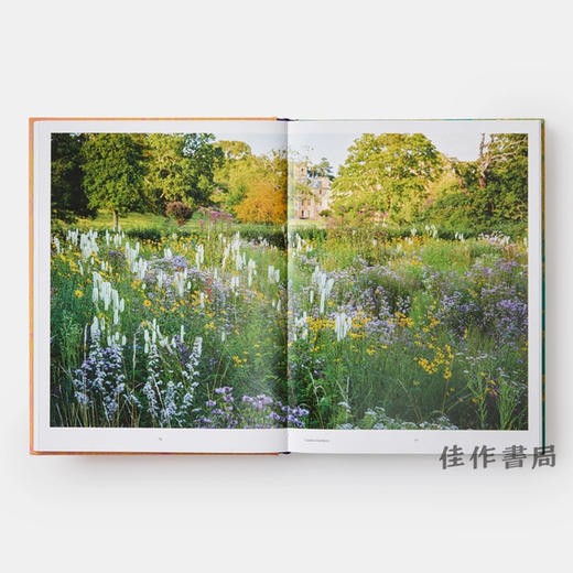 Wild: The Naturalistic Garden / 狂野：自然主义花园 商品图2