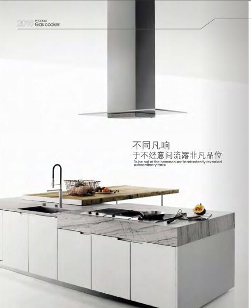 外贸烟机WAC905 商品图1