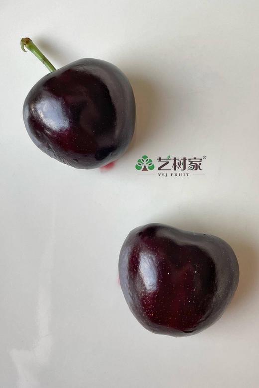 大连艺树家•顶级黑车俄8号 商品图0