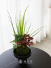 蝶盘-菖蒲苔藓球 商品缩略图0