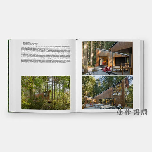 Living in the Forest / 住在森林里 商品图3