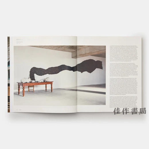 Jannis Kounellis (Phaidon Contemporary Artists Series) / 雅尼斯·库奈里斯  费顿当代艺术家系列 商品图2