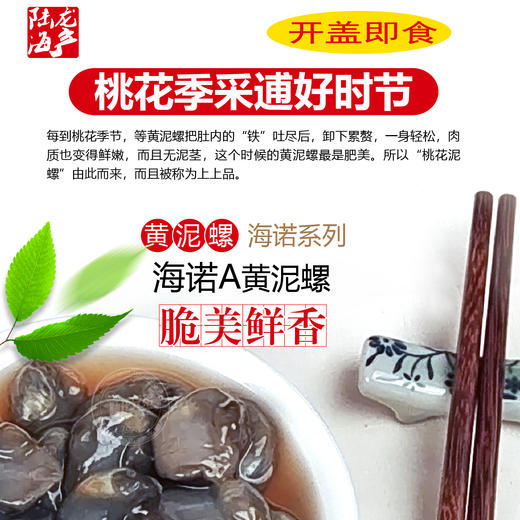 6201陆龙兄弟300g海诺A黄泥螺 商品图3