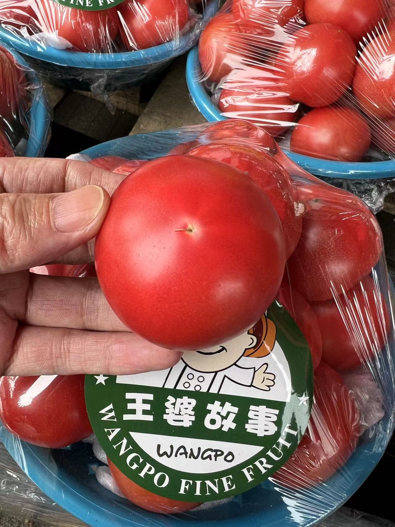 周六取货：【王婆故事西红柿】一盆毛重3斤左右，汁水丰富，酸甜可口！！