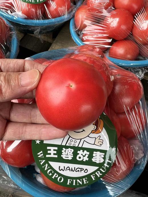 周六取货：【王婆故事西红柿】一盆毛重3斤左右，汁水丰富，酸甜可口！！ 商品图0