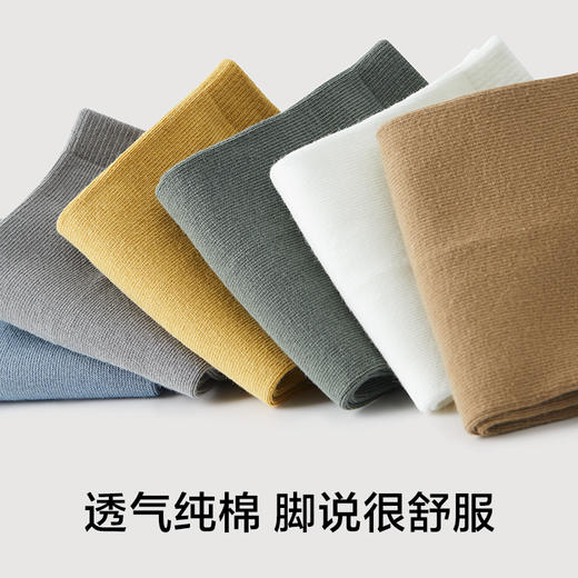 有棵树纯棉男士短袜6双装C-O4076 商品图2