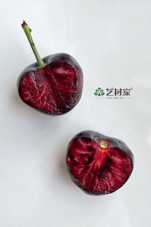 大连艺树家•顶级黑车俄8号 商品图1