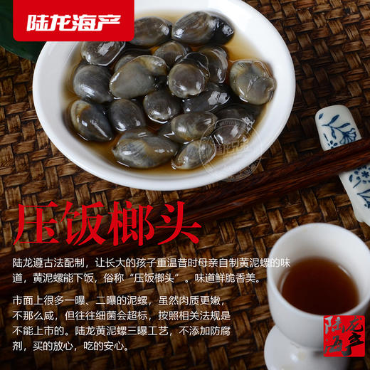 6201陆龙兄弟300g海诺A黄泥螺 商品图4
