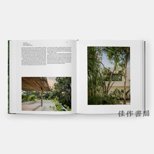 Living in the Forest / 住在森林里 商品图2