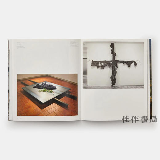 Jannis Kounellis (Phaidon Contemporary Artists Series) / 雅尼斯·库奈里斯  费顿当代艺术家系列 商品图4