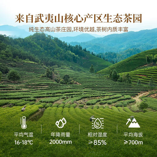 华祥苑肉桂 星时光武夷山肉桂岩茶乌龙茶116g*2盒 商品图4
