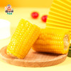 傻小胖鲜玉米家庭装1.5kg 商品缩略图3