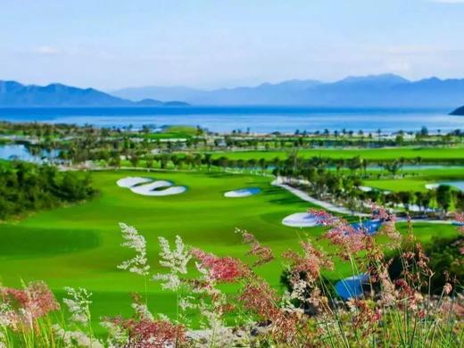 越南芽庄珍珠岛球场VINPEARL GOLF 商品图1