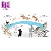 【中商原版】Emily Gravett:10 Dogs 10种狗狗故事 英文原版 进口图书 儿童绘本 动物图画书 亲子读物 3-6岁童书故事书 数数 商品缩略图4