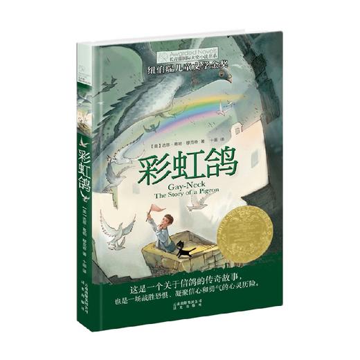 长青藤国际大奖小说书系 第一辑彩虹鸽 9-14岁 达恩·葛帕·穆克奇 著 儿童文学 商品图0