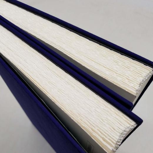 毛边本！！《小残卷斋藏珍本冬心先生集七种》，清 金农著，孟宪钧编，毛边本，布面精装带函套，大16开，全二册，534页，国家图书馆出版社2020年8月初版。定价580，售价398元。 商品图4