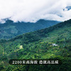 【古树银针】云南古树白茶全芽头临沧核心产区一年仅采一次  357克/饼 商品缩略图1