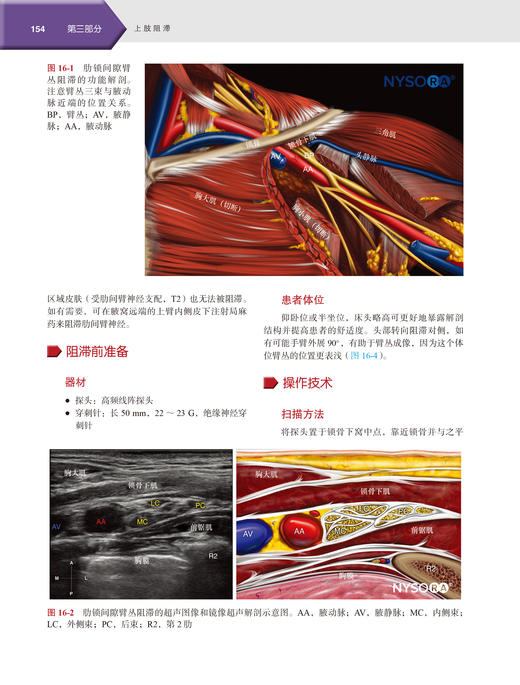 2023年新书：外周神经阻滞与超声介入解剖（第3版） 李泉、陈志霞译(北京大学医学出版社) 商品图1