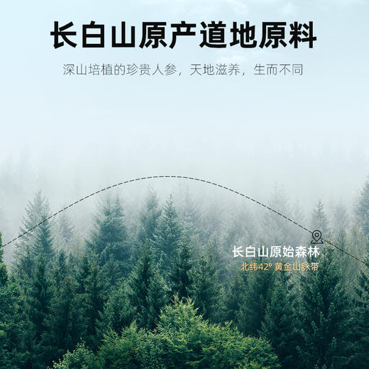 杞里香50g瓶装1.2-1.4人参片5年高龄参，肉质肥厚含皂甙9月鲜制，品味长白山的早秋参香 商品图3