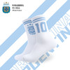 【三星冠军款】阿根廷国家队官方商品丨足球迷蓝白时尚休闲袜10号 商品缩略图0