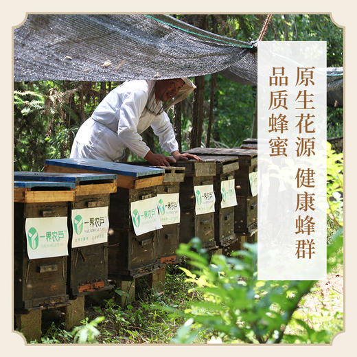 万物本草小勺子土蜂蜜小包装纯正天然独立包装便携袋装柑桔花/洋槐花便携蜜 商品图3