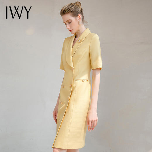 IWY/夏时尚女装气质女神范商务正装轻奢高端连衣裙名媛风裙子薄款Q14268 商品图4