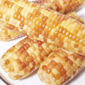 云南西双版纳香糯小玉米  4斤 （真空袋保鲜发货）