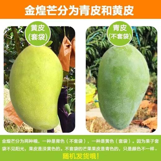 品质差下架-海南金煌芒8斤礼盒装【分仓直发，72小时发货，周末节假日不发货】 商品图5