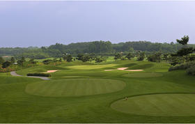越南胡志明（西贡周边）双鸽球场TWIN DOVES GOLF COURSE