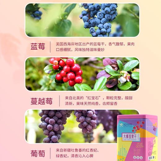 【广州帮扶】燕联大鲜香果干 （铁罐装） 345g/罐 商品图2