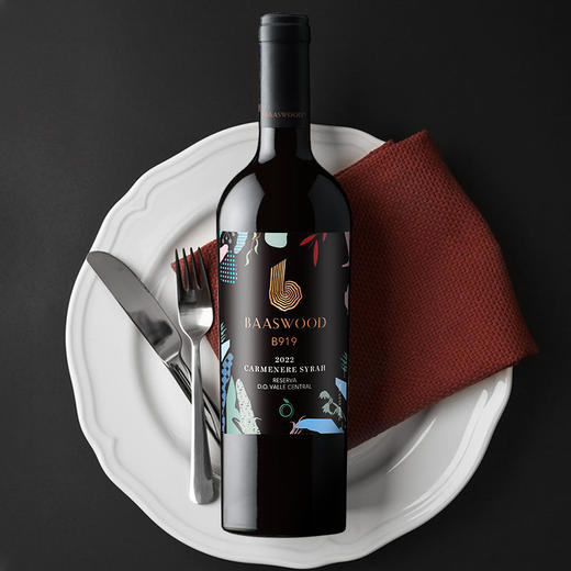 百事活珍藏B919红葡萄酒 商品图0