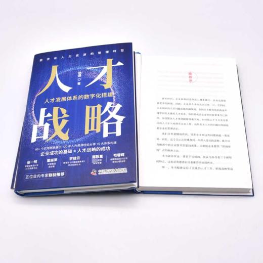 人才战略 人才发展体系的数字化搭建  商品图2