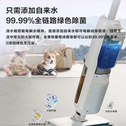 Z10Pro海尔Haier无线智能双滚刷双动力家用洗地机吸拖一体Z10Pro热风烘干除菌扫地机吸尘器 商品图3