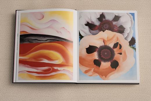 《欧姬芙》“美国现代艺术之母” 艺术理论画册，收录300余幅作品，文字内容详尽 商品图4