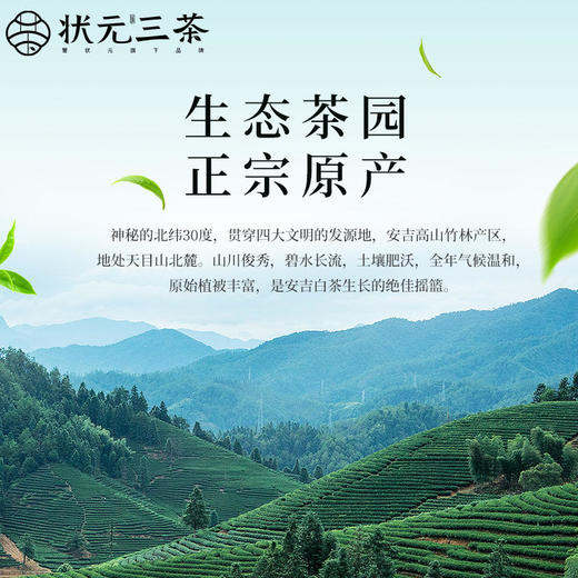 【状元三茶】798型2023年新茶预售安吉白茶明前茶特级茶礼120g 商品图1