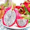 越南白心火龙果 1000g/份 商品缩略图1