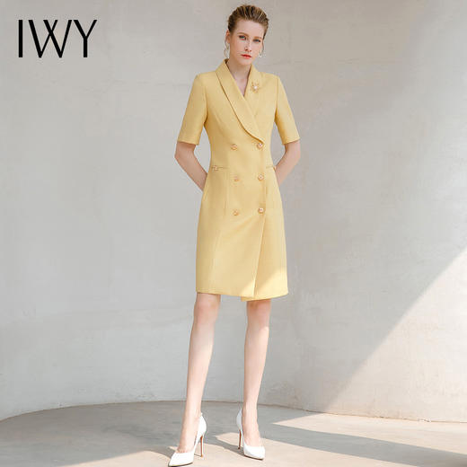 IWY/夏时尚女装气质女神范商务正装轻奢高端连衣裙名媛风裙子薄款Q14268 商品图3