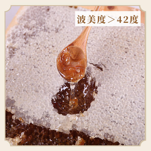 万物本草小勺子土蜂蜜小包装纯正天然独立包装便携袋装柑桔花/洋槐花便携蜜 商品图1