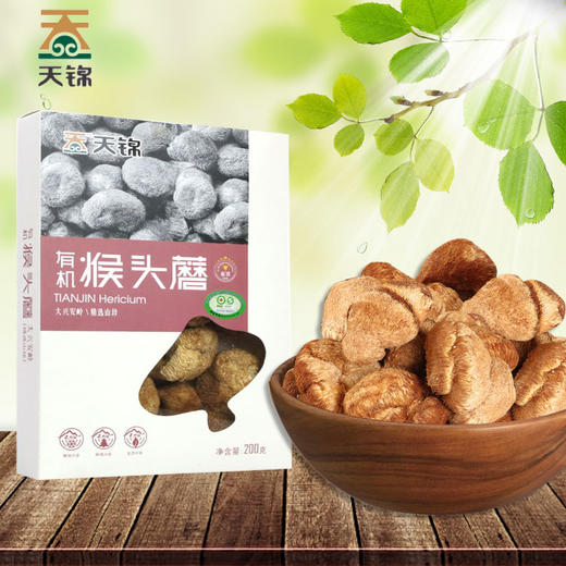 丨有机丨猴头菇 来自大兴安岭 天锦菌菇 商品图1