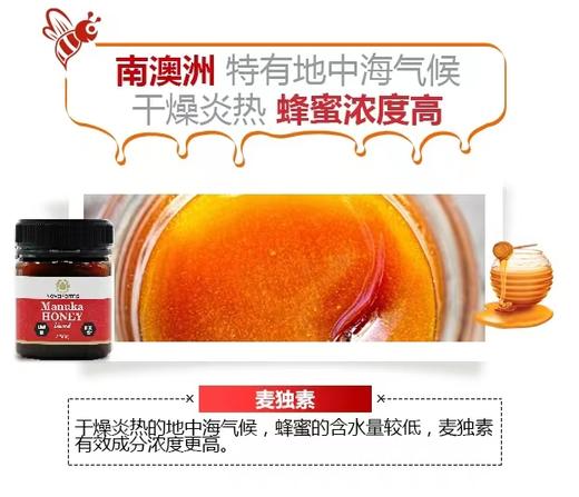 【YH】novafarms 澳洲麦卢卡蜂蜜礼盒 商品图4