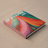 《欧姬芙》“美国现代艺术之母” 艺术理论画册，收录300余幅作品，文字内容详尽 商品缩略图1